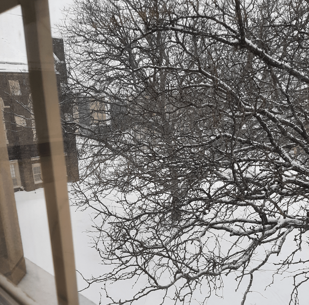 The View from My&nbsp;Classroom