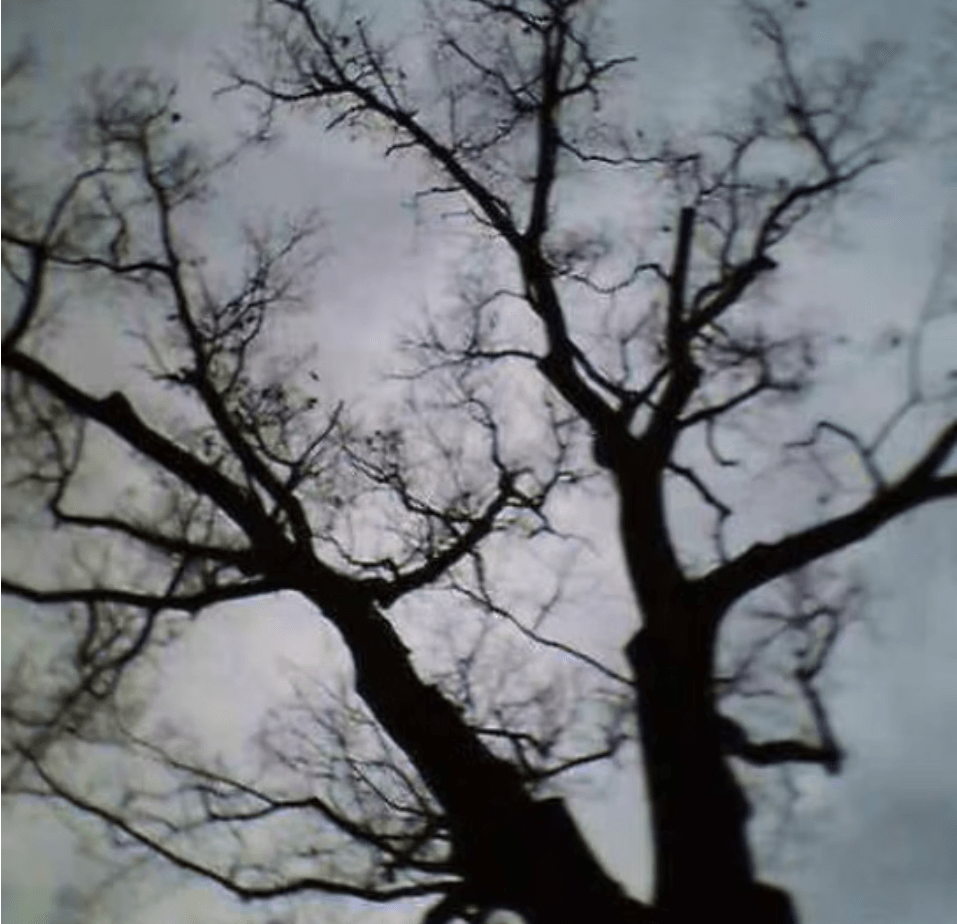 Announcing: Breaking the&nbsp;Silence